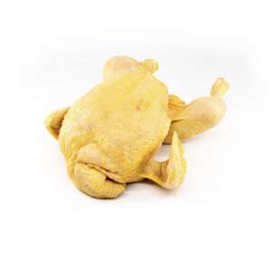 Pollo
